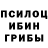 Псилоцибиновые грибы прущие грибы Dutch Grateful