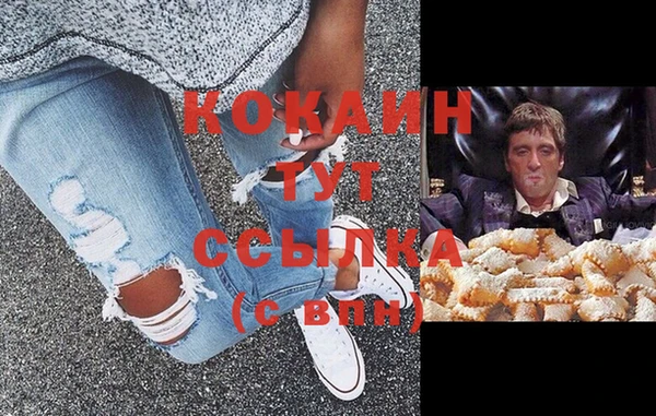 гидра Магас