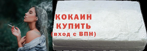гидра Магас