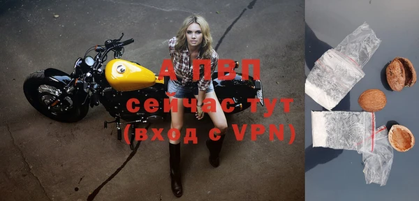 гидра Магас